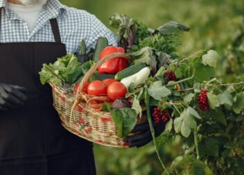 Close-up of a farmer holding a basket filled with vibrant fresh vegetables in a garden.