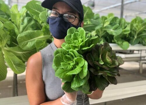 Moonflower Farms Texas