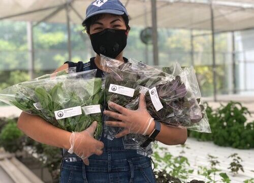 Moonflower Farms Texas