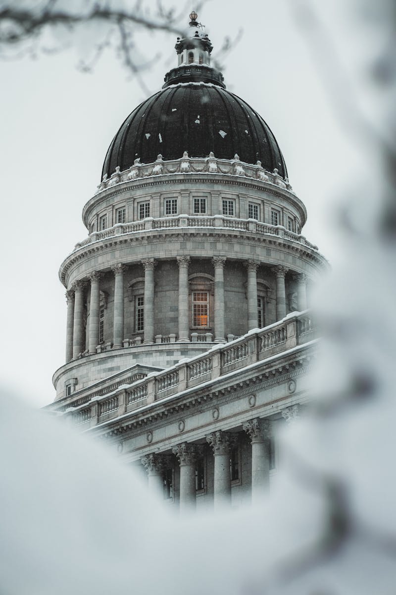 Close-up of a snow-covered Capitol building dome captured in a winter landscape.