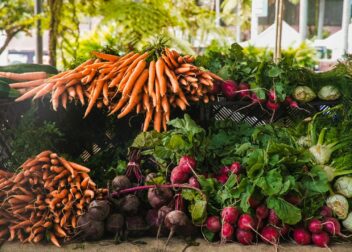 A vibrant display of fresh carrots, radishes, and greens at a local outdoor market.