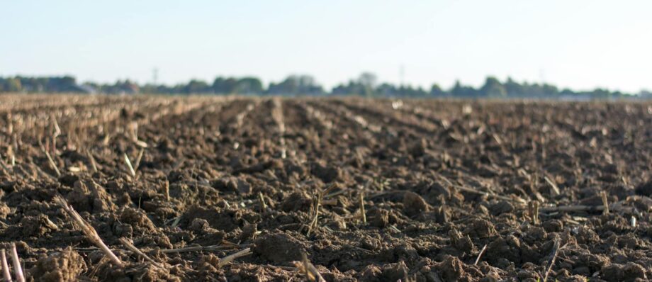 A close-up image of a freshly plowed farmland in springtime, ready for new crops.