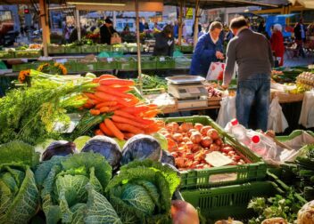 vegetables, market, market stall, vegetable market, farmers local market, food, red cabbage, carrots, healthy, vitamins, kale, onions, purchaser, seller, vegetarian, market, market, market, market, market stall, market stall, market stall, vegetable market, vegetable market, vegetable market, vegetable market, vegetable market, kale, kale, kale, seller, seller