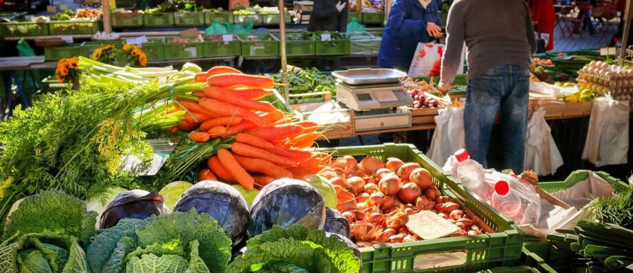 vegetables, market, market stall, vegetable market, farmers local market, food, red cabbage, carrots, healthy, vitamins, kale, onions, purchaser, seller, vegetarian, market, market, market, market, market stall, market stall, market stall, vegetable market, vegetable market, vegetable market, vegetable market, vegetable market, kale, kale, kale, seller, seller